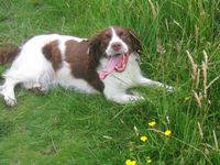 click for a larger view